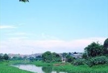 Sunset on Jacare Beach